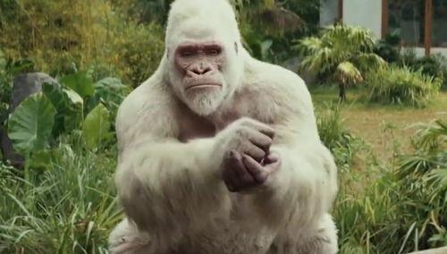 搞笑狂暴巨兽,笑料横生的怪兽奇遇记