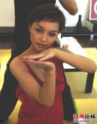 星姐八卦答案,娱乐圈背后的真实故事