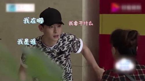 季肖冰表情包,网络时代的表情艺术新宠 第2张 季肖冰表情包,网络时代的表情艺术新宠 第2张