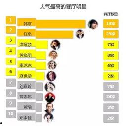 明星分析,揭秘明星背后的故事与影响力  第3张