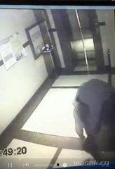 芜湖女生跳楼男背景,揭开背后复杂情感纠葛”  第3张