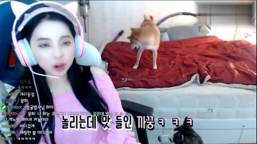 二哈女主播,网络红人的逆袭之路  第2张