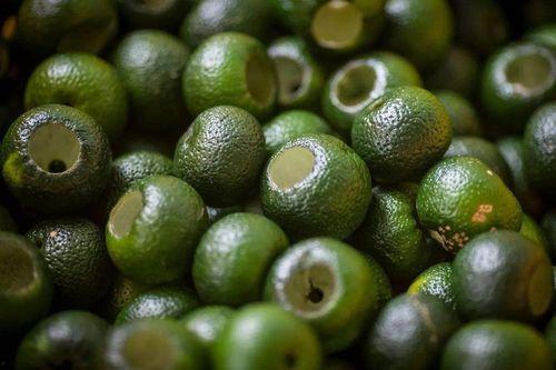 徐柑仔照片,镜头下的青春风采 第3张 徐柑仔照片,镜头下的青春风采 第3张