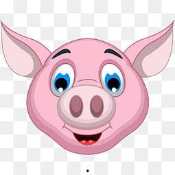 猪头花图片,大自然的奇异之作，揭秘其独特魅力  第3张