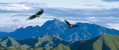 高远背景,高远背景下的时代变迁与未来展望  第3张