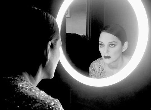 举头望明月打一演员